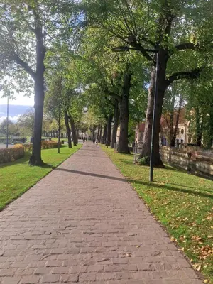 a brick path in a park with trees at Domus moerenpoort in Tongeren