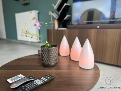 a table with three pink vases and a remote control at La parenthèse céleste - 2 chambres & Sauna in Liège