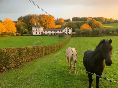 two horses standing in a field next to a fence at De Molenhoeve Gezinswoning in Voeren