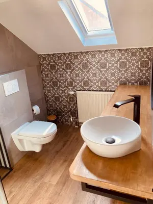 a bathroom with a sink and a toilet at De Molenhoeve Gezinswoning in Voeren