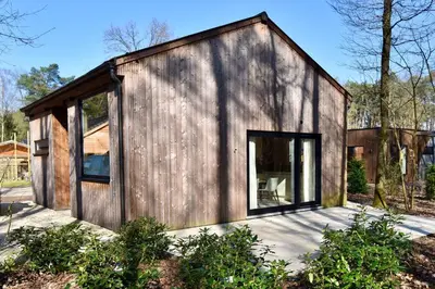 a small wooden house with a large window at Lysdann Zutendaal in Zutendaal