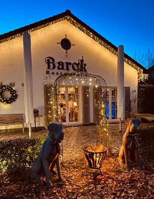 two dogs sitting in front of a building with lights at maison Clavita in Genk