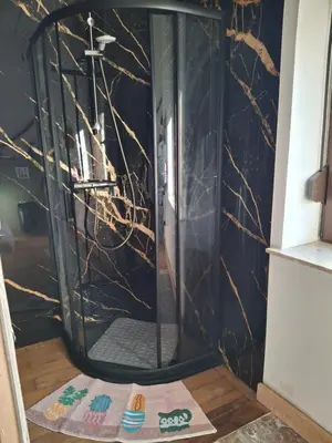 a shower in a bathroom with a black marble wall at La Vie en Rose in Ensival
