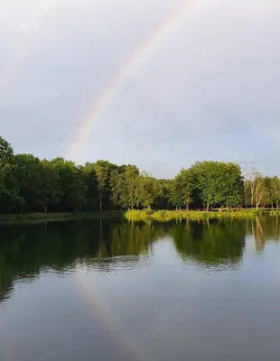 a rainbow over a lake with trees in the background at Riet&Rust in Lanaken