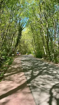 a road with trees on either side of it at Riet&Rust in Lanaken