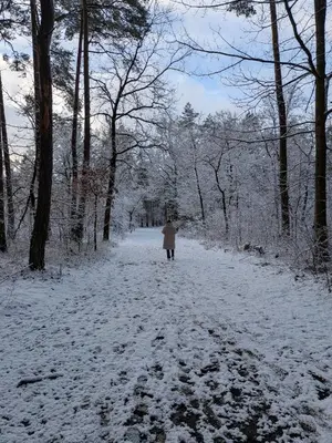 a person walking down a snow covered path at Riet&Rust in Lanaken