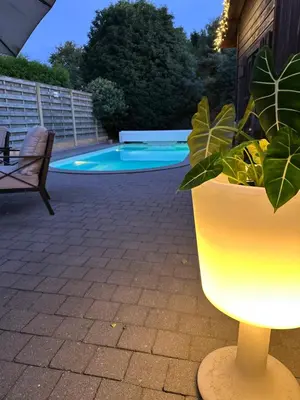 a plant in a yellow pot next to a pool at Wellness L'eau Belle in Beringen