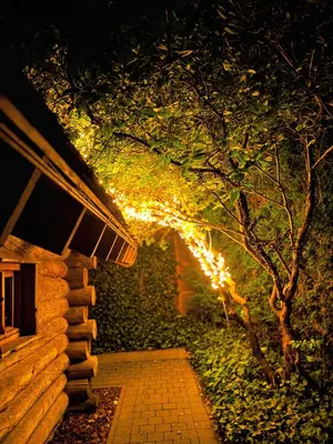 a walkway with a tree with lights on it at Wellness L'eau Belle in Beringen