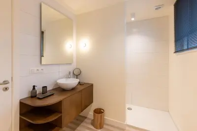 a bathroom with a sink and a shower at Theodore Schwann - duplex centre de Liège in Liège