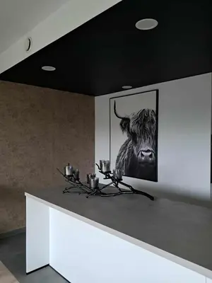 a room with a picture of a bull on the wall at Chez Vincent, parking gratuit in Liège