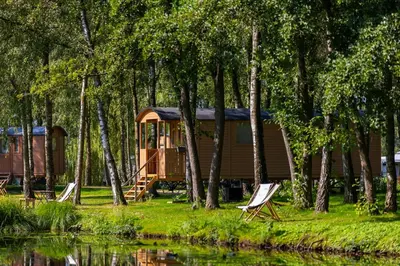 a cabin in the woods next to a lake with two chairs at Camping Papillon Kinrooi - Pipowagen met terras in Kinrooi
