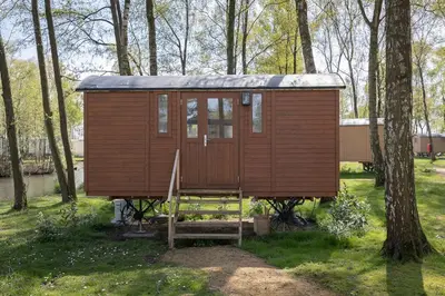 a wooden cabin in the middle of the woods at Camping Papillon Kinrooi - Pipowagen 2p in Kinrooi