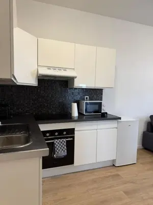 a kitchen with white cabinets and a stove top oven at Appartement fraîchement rénové de 1 chambre et Sofa Bed en plein Cœur de Liege in Liège