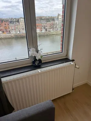 a window with a vase with flowers on a radiator at Appartement fraîchement rénové de 1 chambre et Sofa Bed en plein Cœur de Liege in Liège