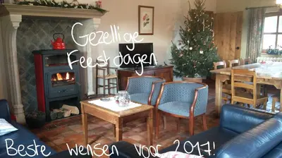 a living room with a fireplace and a christmas tree at Vakantiewoning Venderhof in Maaseik