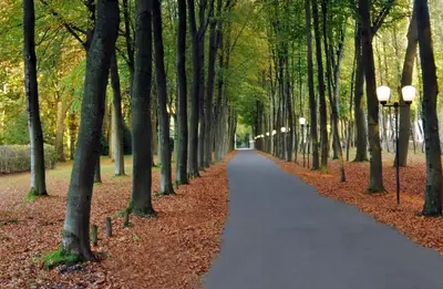 a path in a park with trees and lights at Domein Hengelhoef in Houthalen-Helchteren