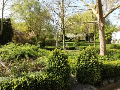 a garden with bushes and trees and a tree at De Aventurijn in Riemst