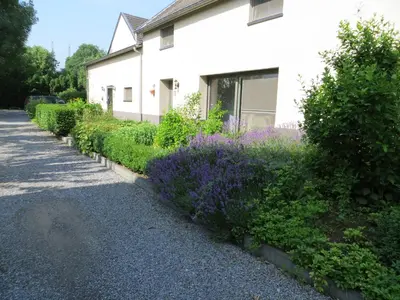 a house with a row of bushes and purple flowers at De Aventurijn in Riemst
