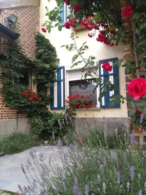 a house with flowers in front of a window at De Blauwe Maaten in Neerglabbeek