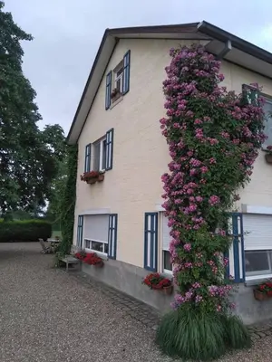 a building with purple flowers on the side of it at De Blauwe Maaten in Neerglabbeek