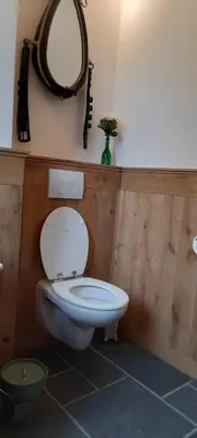 a bathroom with a toilet and a mirror on the wall at De Blauwe Maaten in Neerglabbeek