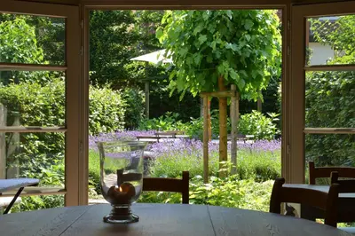 a glass on a table with a view of a garden at Boetiekhotel Hemelhuys in Hasselt