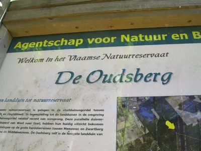 a sign that reads affirmify your natural beauty and wisdom in her maassamine at Bosbeekvallei in Opoeteren