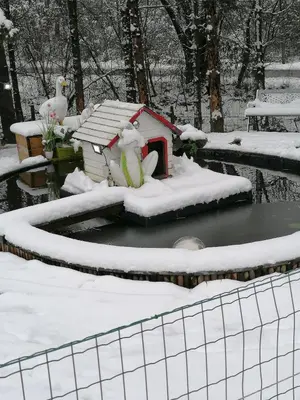 a snow man in a dog house in a pond at le gite de zoelie in Chaineux