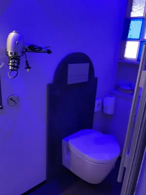 a purple bathroom with a toilet in a room at Relax Trois Bornes - De Grenspost in Gemmenich