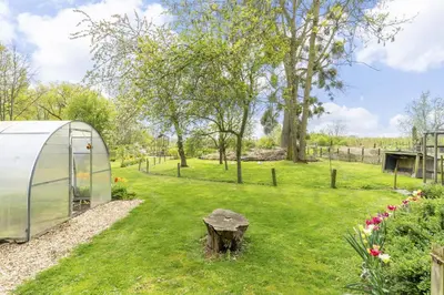 a greenhouse in a garden with a tree stump at Maas&Mechelen B&B Massage & Wellness in Maasmechelen