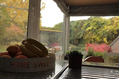 a bowl of fruit sitting on a table next to a window at Maas&Mechelen B&B Massage & Wellness in Maasmechelen