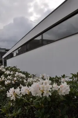 a white building with a bunch of white flowers at Hotel Boomgaard in Lanaken