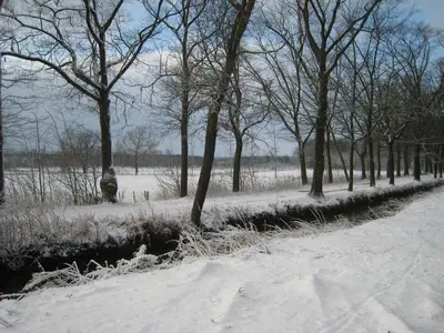 a snow covered path in a park with trees at Hotel Het Buskruid in Lummen