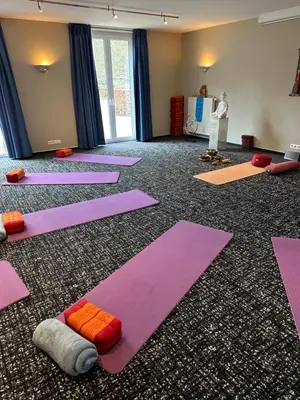 a room filled with lots of pink yoga mats at Le Chateau Des Thermes in Chaudfontaine