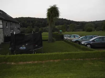 a yard with cars parked in a parking lot at 't Gulpdal Hotel Voeren-Teuven in Voeren