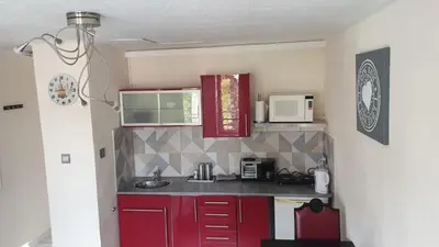 a small kitchen with red cabinets and a microwave at Studio Filo in Liège