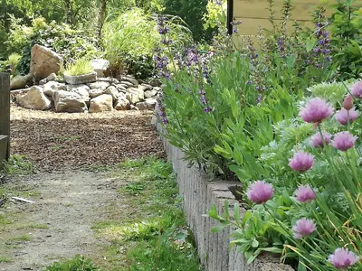a garden with purple flowers and a fence at Vakantieverblijf Volmolen B&B in Maaseik