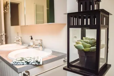 a bathroom with a sink and a potted plant on a counter at De Pluktuin in Kortessem