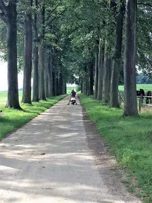 a person riding a skateboard down a tree lined road at Gastenverblijf Chambre dAmis in Heers