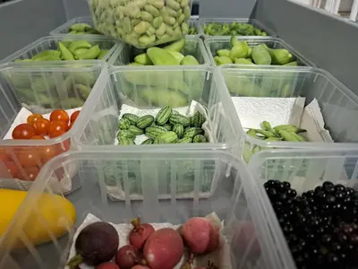 a refrigerator filled with lots of fresh fruits and vegetables at La Ferme du Hélivy in Jalhay