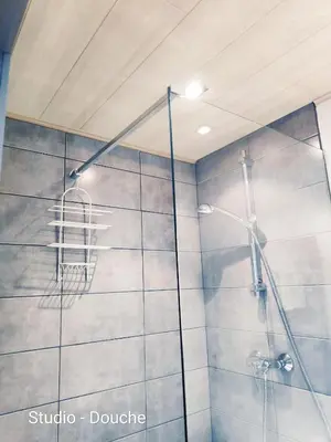 a bathroom with a shower with a shower curtain at DayNight Sauveniere in Liège