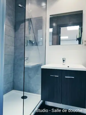 a bathroom with a shower with a sink and a mirror at DayNight Sauveniere in Liège