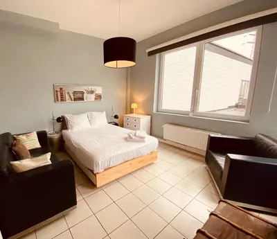 a bedroom with a bed and a couch and a window at Fenêtre sur le Standard de Liège in Ougrée