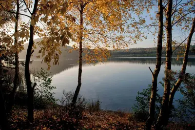 a view of a body of water with trees at De Vlier - Vakantiewoningen in Maasmechelen
