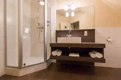 a bathroom with a sink and a shower at Hotel De Spaenjerd in Kinrooi
