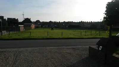 a field of grass with a horse in the distance at 't Hagerhuys in Maaseik