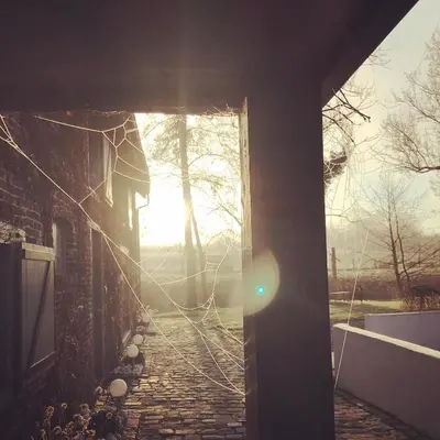 an open door to a house with the sun shining through at De Verborgen Parel B&B in Borgloon