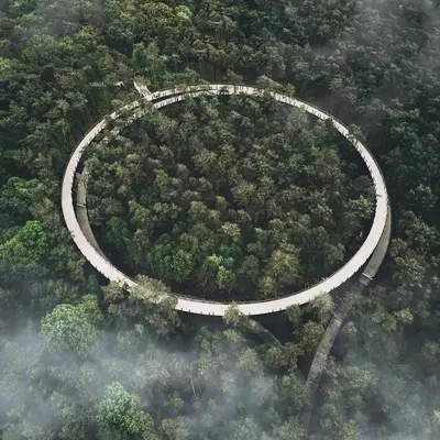 a winding road in the middle of a forest at Hotel De Boskar Peer in Peer