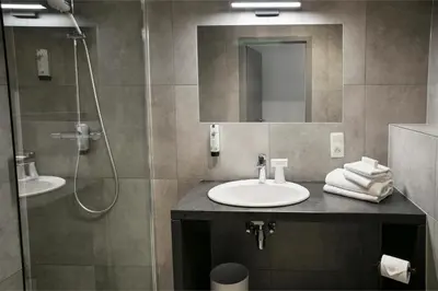 a bathroom with a sink and a shower at La Couronne in Welkenraedt