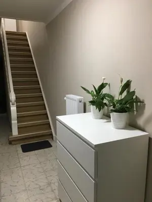 two plants on top of a dresser in a room at Hollandia City House in Hasselt